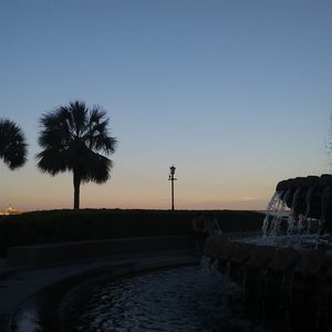 Meet your Posher, Tracey